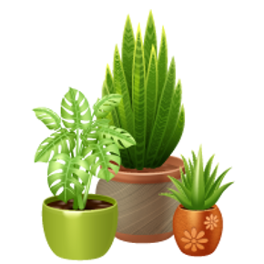 Picture for category Indoor plants