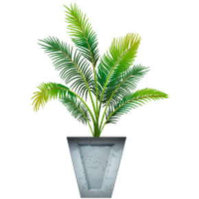 Picture for category Outdoor plants