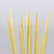 صورة شوك خشب للحلو وورق العنب