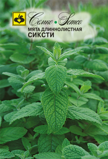Picture of Long-leaf mint seeds