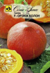 Picture of Orange pumpkin seeds F1