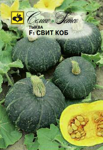 Picture of Green pumpkin seeds F1