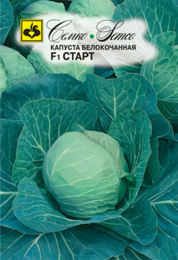Picture of White Cabbage Seeds Start F1