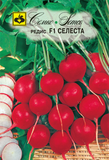 Picture of Radish seeds Celeste F1