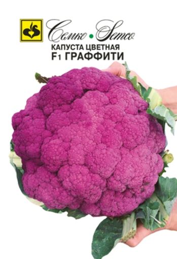 Picture of Violet flower seeds F1