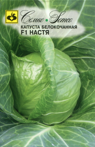 Picture of Cabbage seeds F1 Nastya