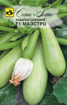 Picture of Zucchini Maestro seeds