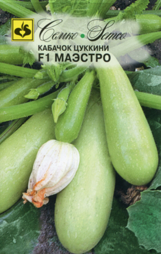 Picture of Zucchini Maestro seeds