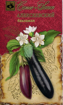 Picture of Long black eggplant seeds