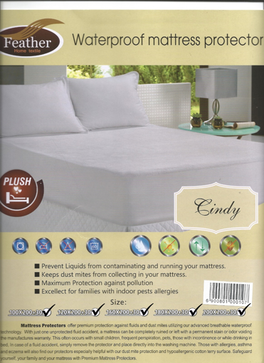 Picture of Cindy Wet Insulator