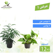 صورة عرض 1