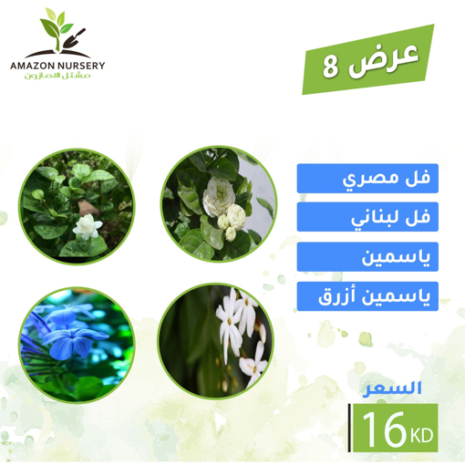 Picture of عرض 8