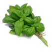 Picture of seed-36 بذور ريحان