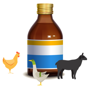 Picture for category Veterinary department