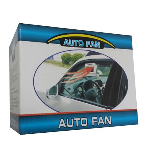 Picture of small car fan