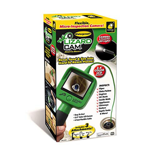 Picture of lizard camera