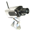 Picture of wireless camera