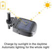 Picture of Color Changing Solar Garden Lights