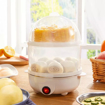 Picture of Electric Steamer